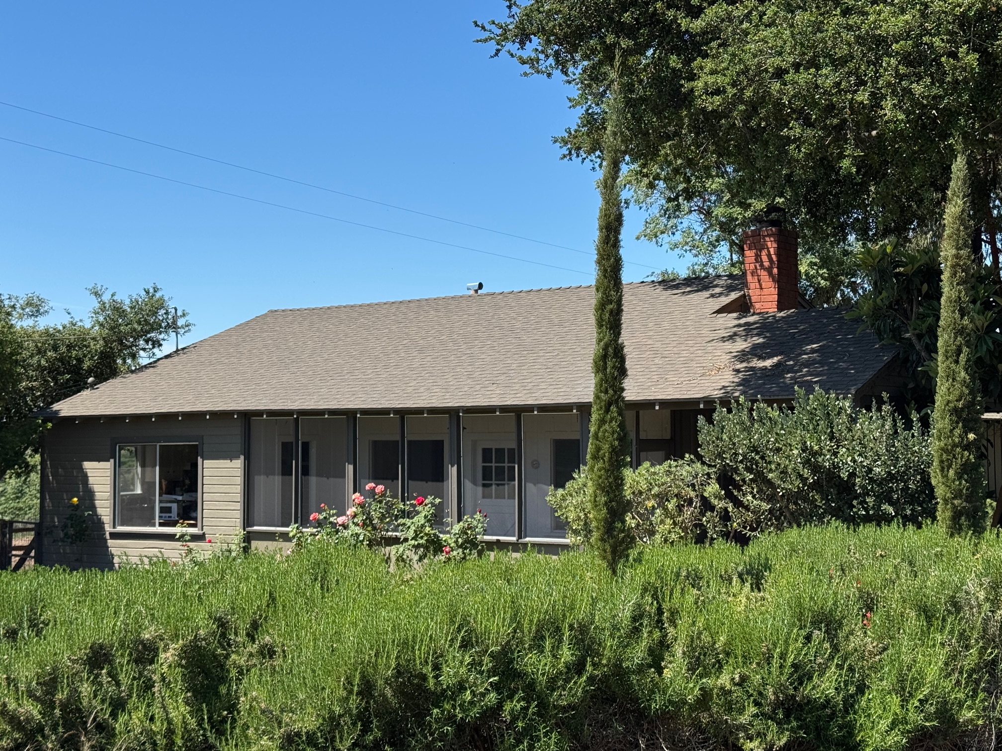 Lavender Farm House