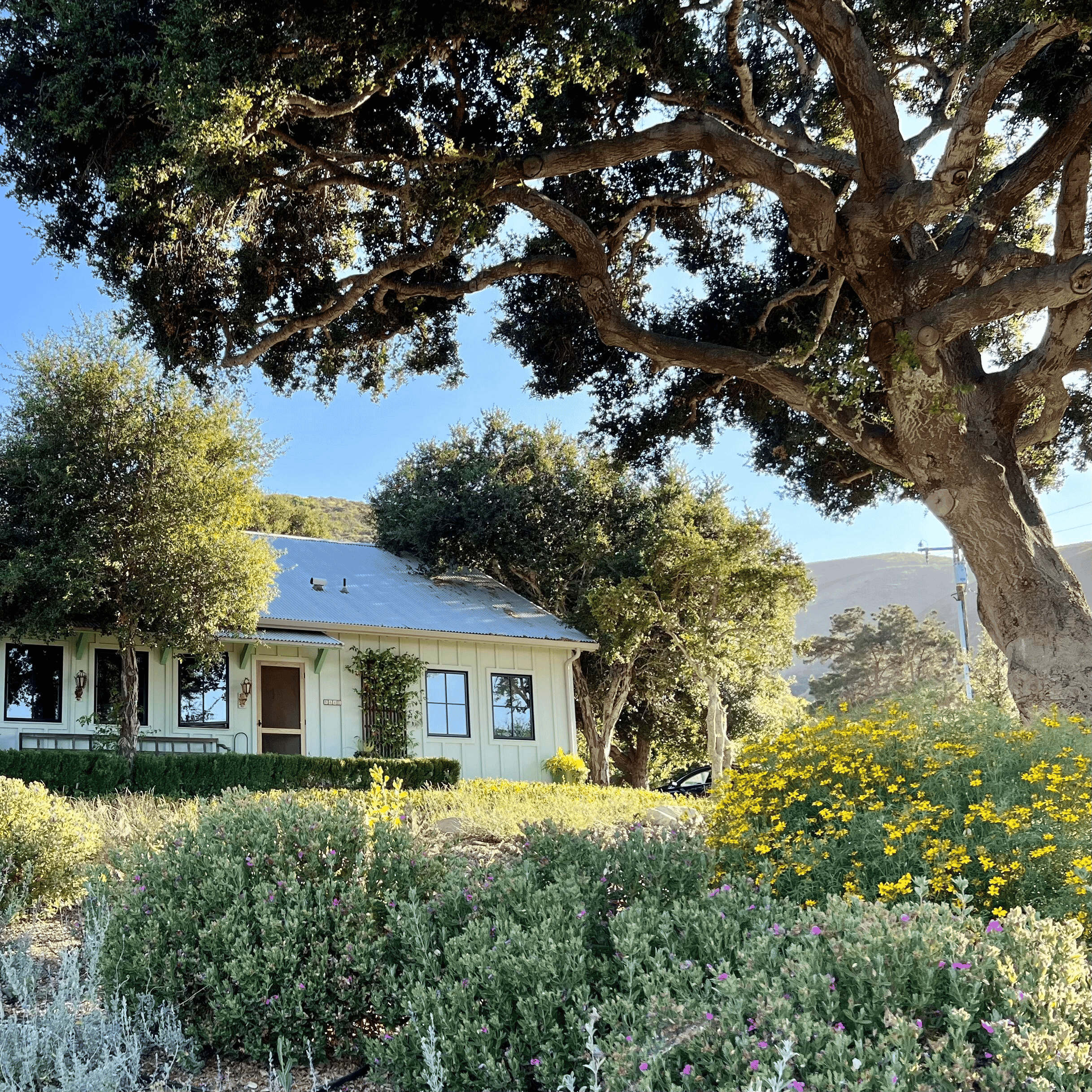 Three Dreamers Farm Cottage